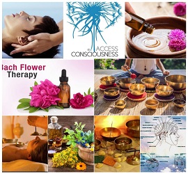 Bach Flower Therapy Training Course